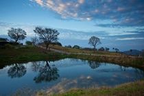 Buena Vista Lodge & Adventure Гуанакасте Екстер'єр фото
