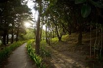 Buena Vista Lodge & Adventure Гуанакасте Екстер'єр фото
